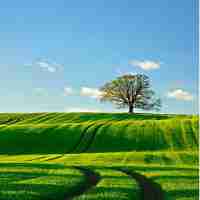 搜‍索‌引‌擎​收‍录‍网​站​基﻿本‌都‍是‍靠﻿什​么‌来​抓﻿取‍